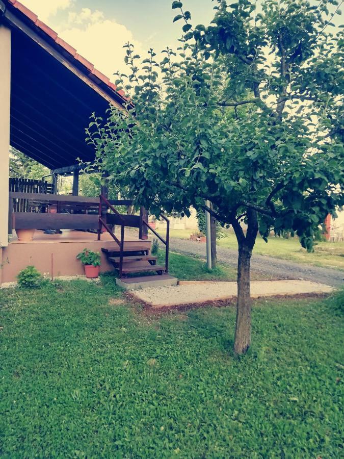 Apartman Adam Раковица Екстериор снимка